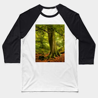 Padley Gorge Woodland Baseball T-Shirt